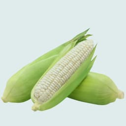 Fresh Maize