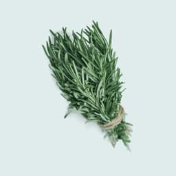 Rosemary
