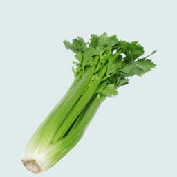 Celery