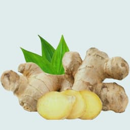 Fresh Ginger