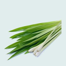 Lemongrass
