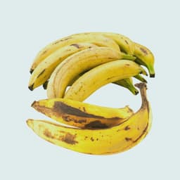 Plantain