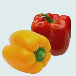 Yellow/Red Capsicums