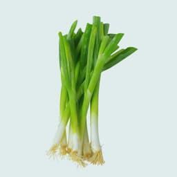 Spring Onion