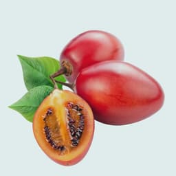 Tree Tomato (Tamarillo) - (appx 10 pieces) per Kg
